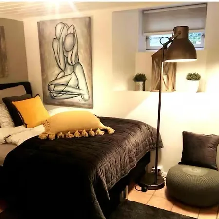 Vakker, Svaert Sentral Med 3 Soverom Oslo